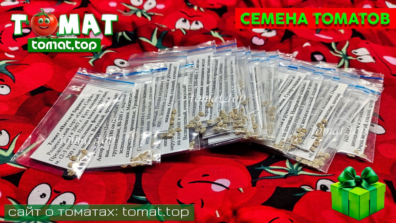 Обзор семян томатов | Сорта, которые давно хотелось вырастить! 🍅