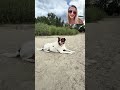 #mentalhealthsupport #dog #puppylove #fearless # #podcast #recoveryispossible