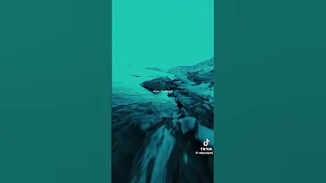 4 جوان 2025 