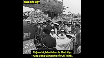 Cải Cách Ruộng Đất