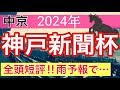 【神戸新聞杯2024】蓮の競馬予想(全頭短評)