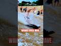 Had floor seats to the ​⁠@JamieOBrienJOB show at the Waimea river wave back in April