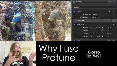 Why I use Protune for underwater - GoPro Tip #427 | MicBergsma