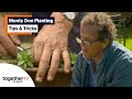 Monty Don's Tips And Tricks On Gardening and Planting | Big Dreams, Small Spaces | Compilation