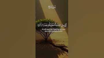 قران كريم بصوت جميل جدا جدا ماهر المعيقلي راحة نفسية لا توصف 😌