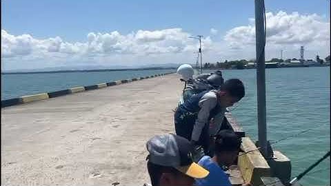 Tugas Informatika Vlog Memancing 🎣 [ Kelompok 3 ]