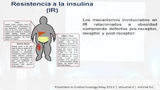 Mecanismos de resistencia a la insulina en obesidad - Part.1 - HD