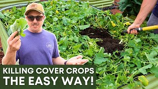 How Do We Get Rid of This Stuff?! | Cover Crop Termination Tips