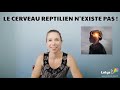 Le cerveau reptilien nexiste pas  