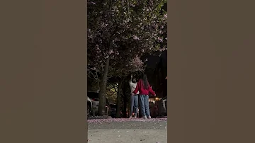 لما تجيبلي شوية ورد ملكة الإحساس إليسا 3bdel7amid 
