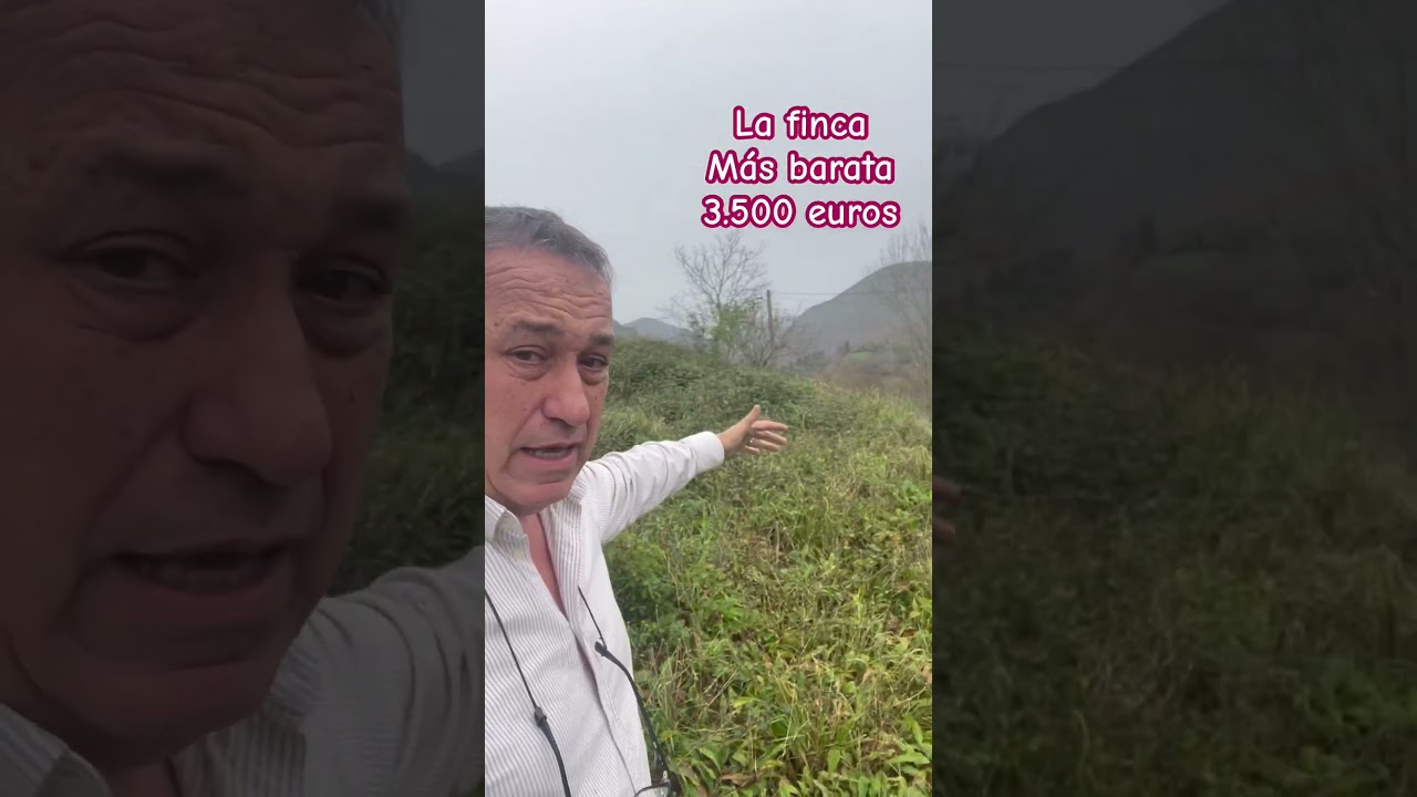 La finca más barata de Asturias está en Piloña infórmate 984280228 línea 2 urbana