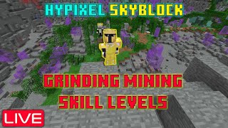 Hypixel Skyblock Mining All Day (Short Stream) | !discord