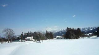 T-REX600ESP&FL_01.wmv