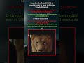La película más peligrosa de la historia del cine 🦁
