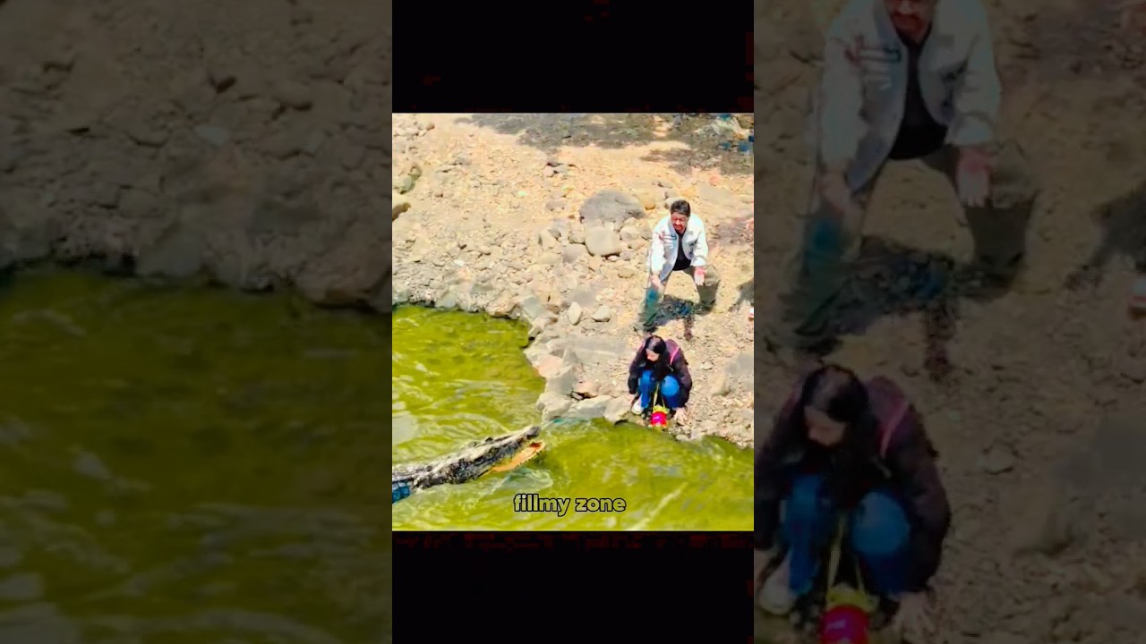 मगरमच्छ का हमला😂funny comedy#shortsviral #edit  #movie