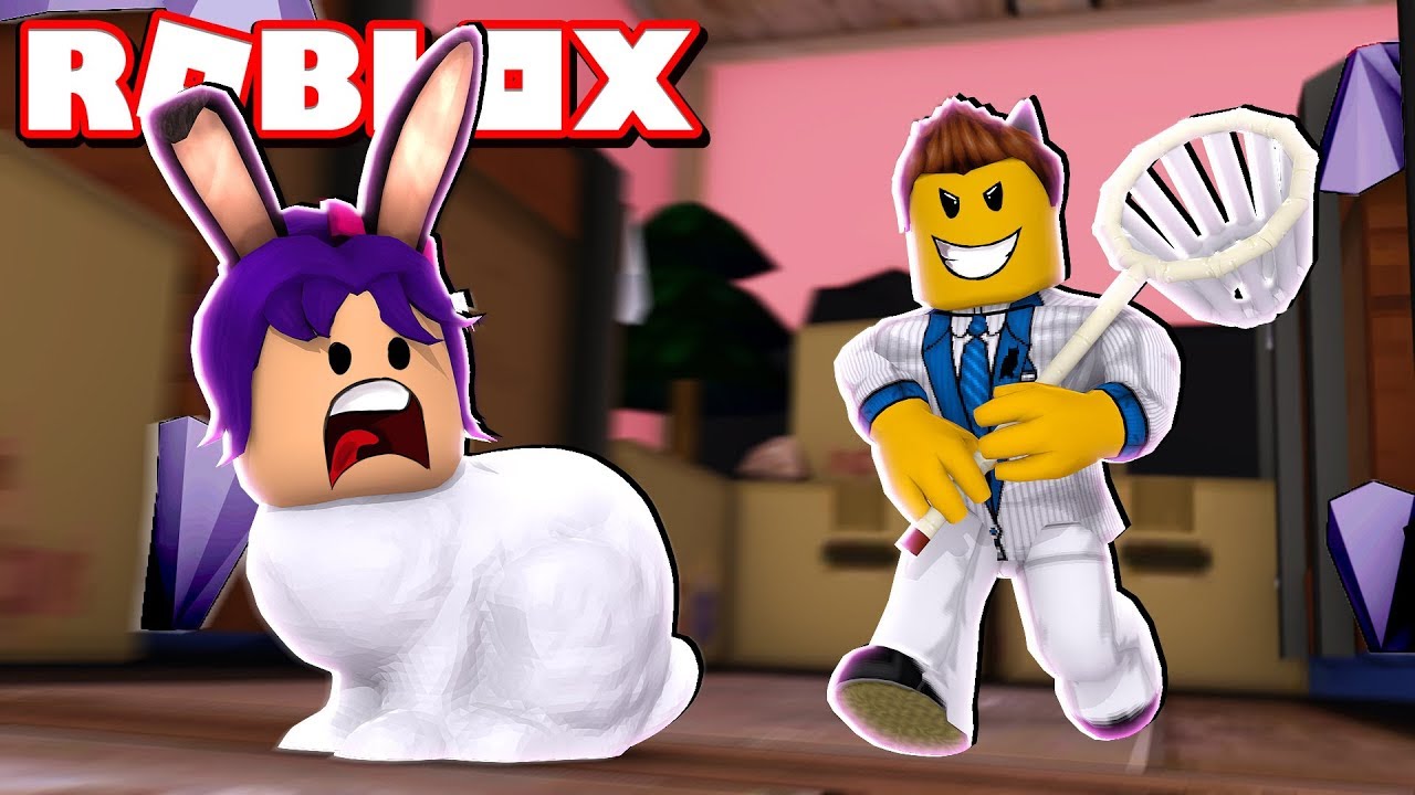 La Huida De Las Mascotas Roblox C Kepu Youtube - me voy a la playita roblox pinkfate games thewikihow