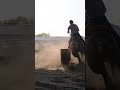 #nsca #omoksee #horse #rodeo #horseshow #western #westernriding #youtubeshorts #subscribe