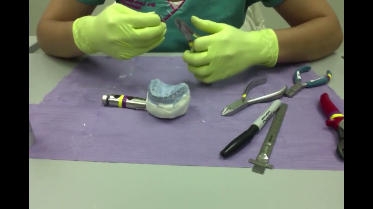 SN3  (por Dra.  Gpe del Pilar Ramírez Amezcua)