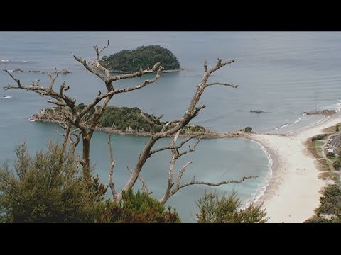 海洋油流出への対応：環境への影響