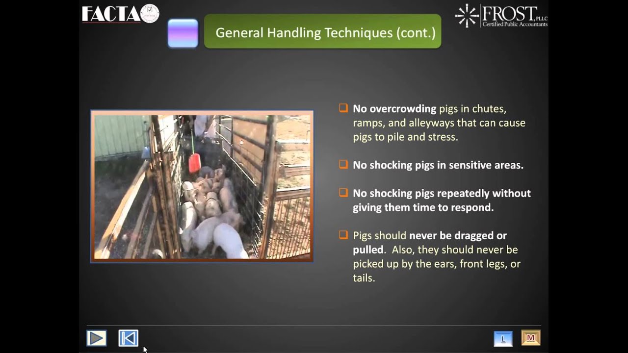 FACTA Animal Welfare Training for the Pork Industry - YouTube
