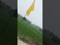Humra Mare Khatir Kakra Dhaniya Supari Kaise Hamen sikhayen