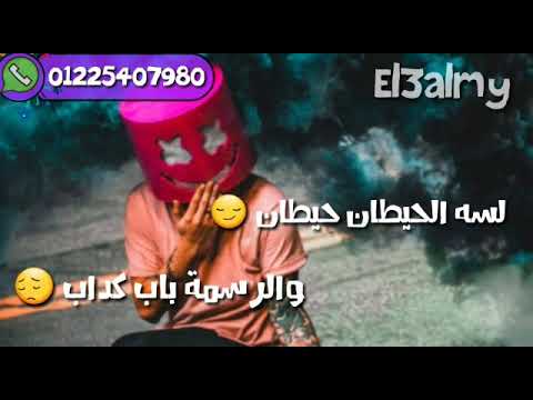 مهما ترسم ع الحيطان 1000باب حالة واتس فاجرة