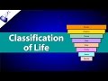 Classifying Life: Organizing the Diversity of Organisms