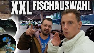 Spontan Fische gucken im BuluPoint Hoyerswerda (Mega Auswahl!)