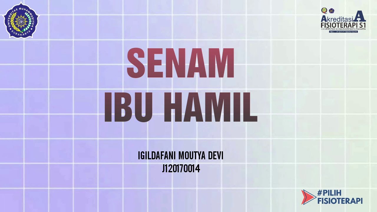  Senam  Ibu  Hamil  YouTube