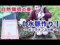 【水はけの悪い畑に必須】水脈整備を行いました!