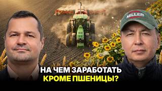 Самые выгодные культуры для Павлодарской области — ТОО Набережное, ТОО Победа