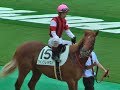ウイングレイテスト 2019/6/23(日) 東京5R 新馬戦(2着)≪パドック/馬場入り/最後の直線/検量室前≫