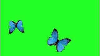 GreenScreen Butterfly || GreenScreen Kupu-kupu