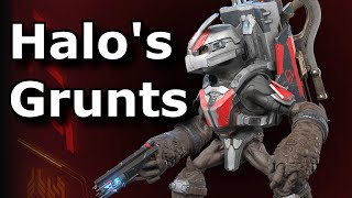 Halo infinite’s Grunts are my spirit animal