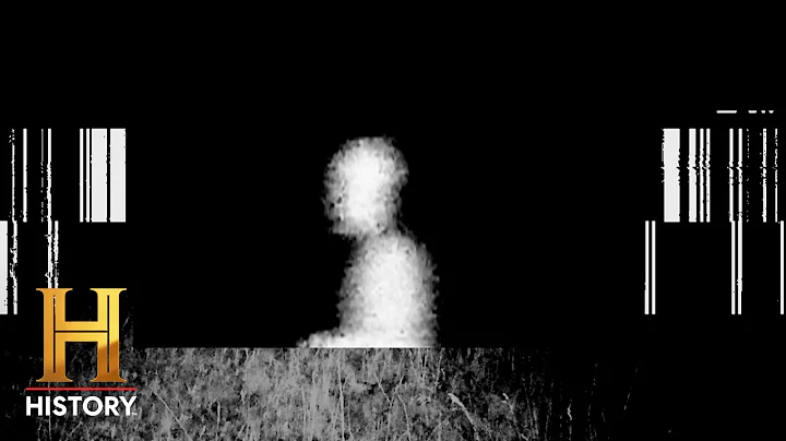 4 HORRIFYING STRANGE CREATURES *CAUGHT ON CAMERA* | The Proof Is Out There | History