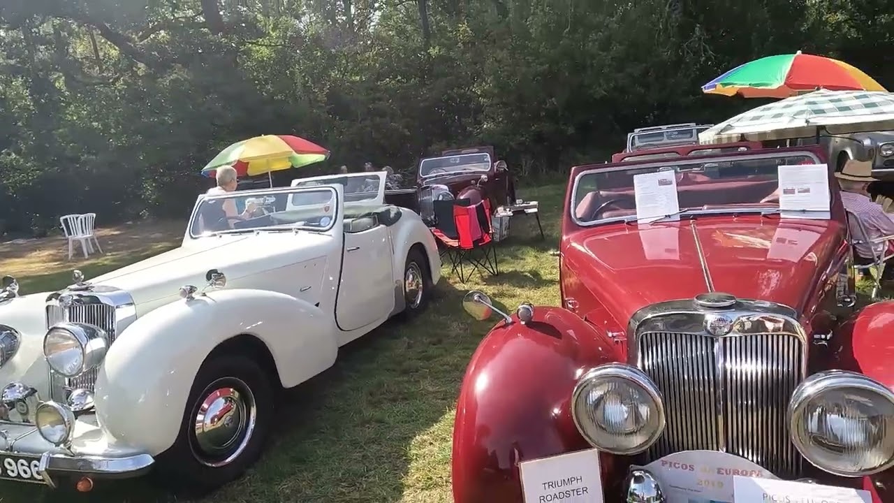 Floral Fringe Fair 2024