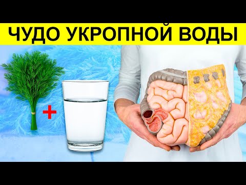 Укропная вода: 2 ч. ложки и давление в норме, нет запоров, цистита, проблем с почками и...