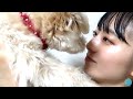 2022/08/07 今村美月 SHOWROOM の動画、YouTube動画。