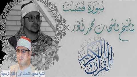 الشيخ الشحات محمد أنور | سورة فصلت