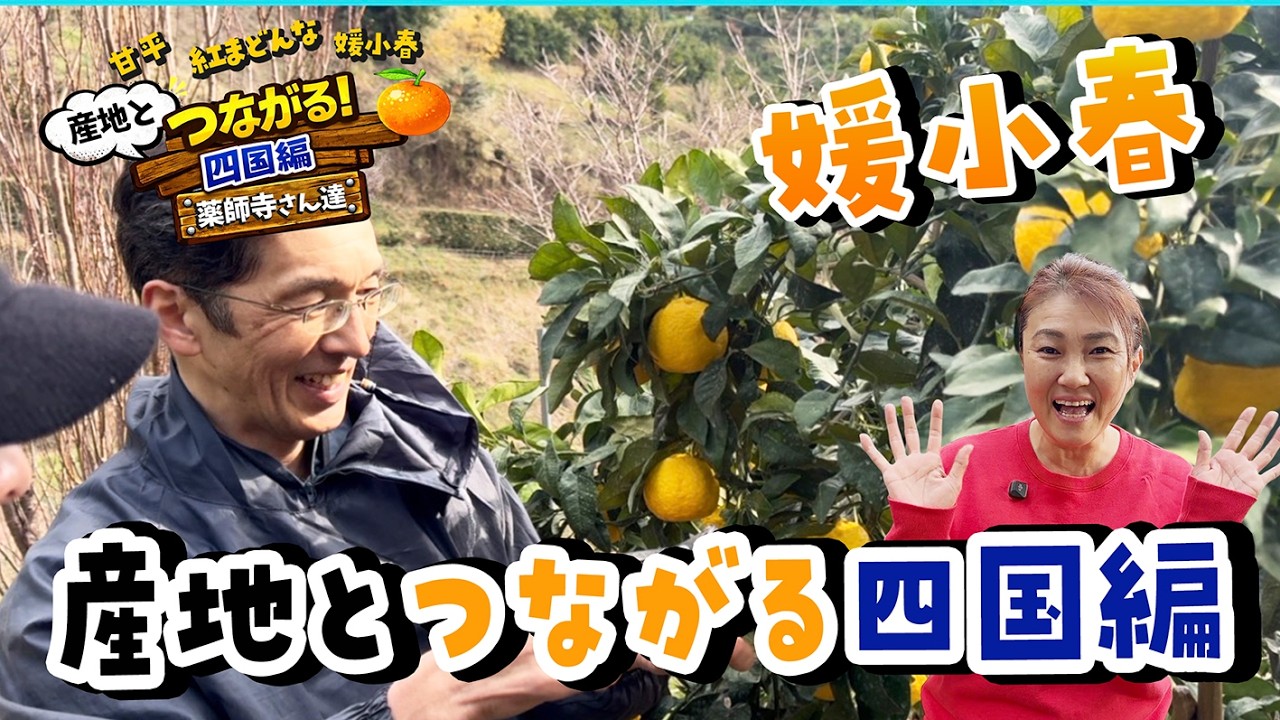産地とつながるin四国（媛小春、甘平）薬師寺さん達