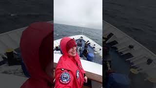 Beautiful and scary Drake Passage
