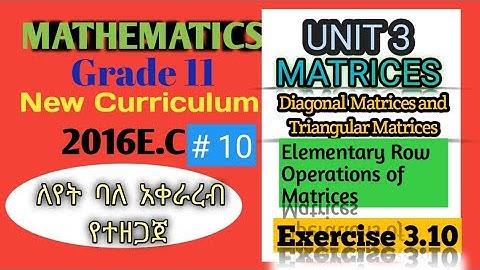 Grade 11 Maths Unit 3 Special Type of Matrices|| # 10 Exercise 3.10 Maths With Fikru||New Curriculum