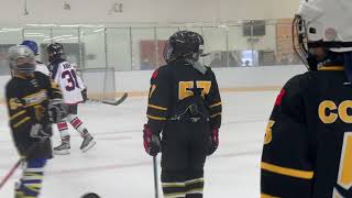 酷冰盃Frozen Cup~《小高》老虎B VS 西方銀獸(TigerB VS Western Silver Beast)0:14