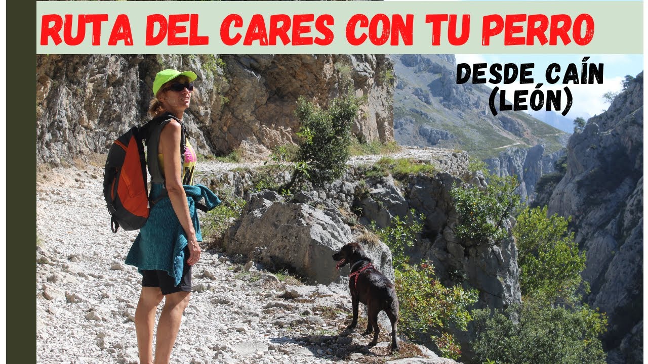 RUTA DEL CARES CON PERRO Y FAMILIA. Salimos desde CAÍN (LEÓN). Cosas importantes a tener en cuenta.