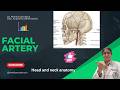 Facial Artery Anatomy | Course, Branches &amp; Relations | Head and Neck Anatomy