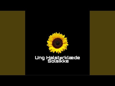 Video: Solsikke