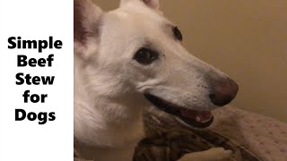 Simple Beef Stew For Dogs
