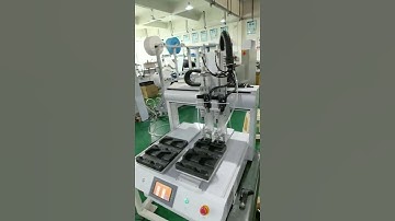 double screwdriver automatic machine