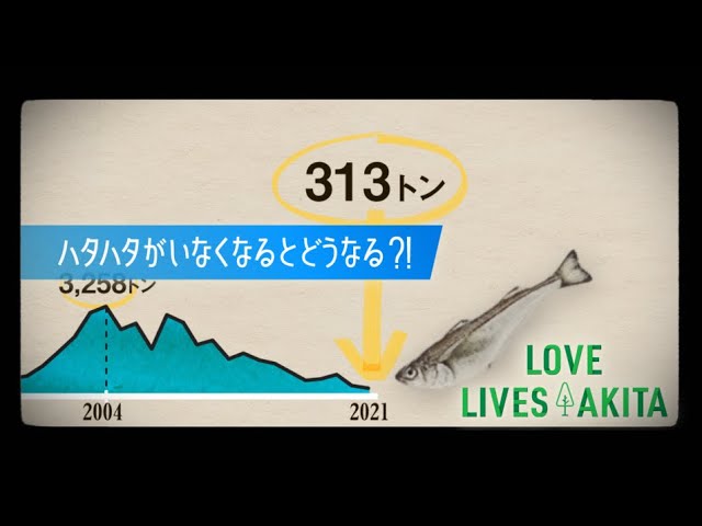 PR動画「ハタハタがいなくなるとどうなるの？｜ LOVE LIVES AKITA ～秋田と生物多様性part2」のサムネイル　外部サイトへ移動します