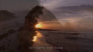 The White Birch - Breathe (Subtitulado en español)